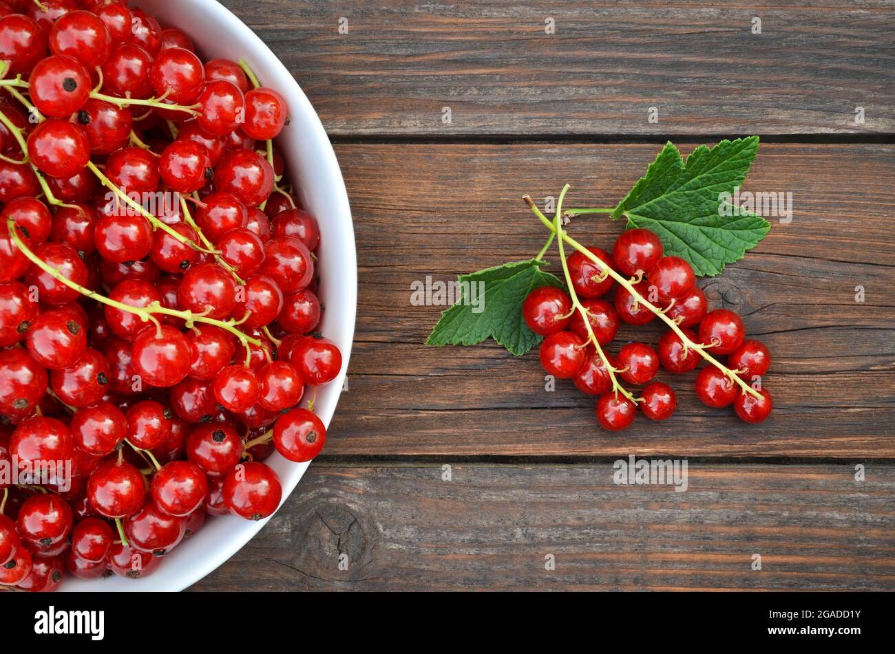 Frisch gepflückte reife Beeren von roten Johannisbeeren aus nächster Nähe auf einem Holztisch. Gesunde Ernährung Konzept. Stockfoto