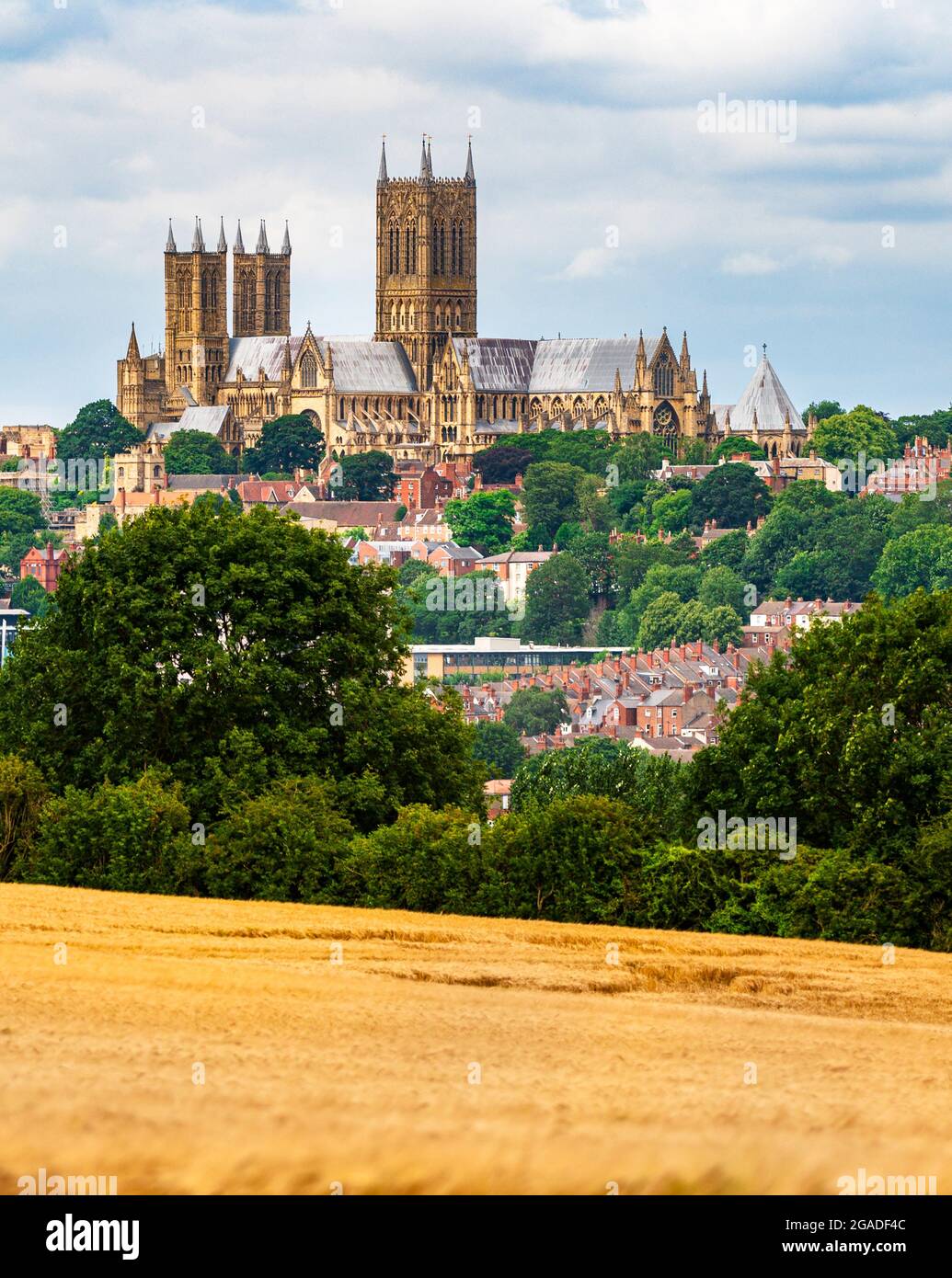 Lincoln Cathedral, Lincoln Minster oder die Cathedral Church of the Blessed Virgin Mary of Lincoln - von Canwick aus gesehen Stockfoto