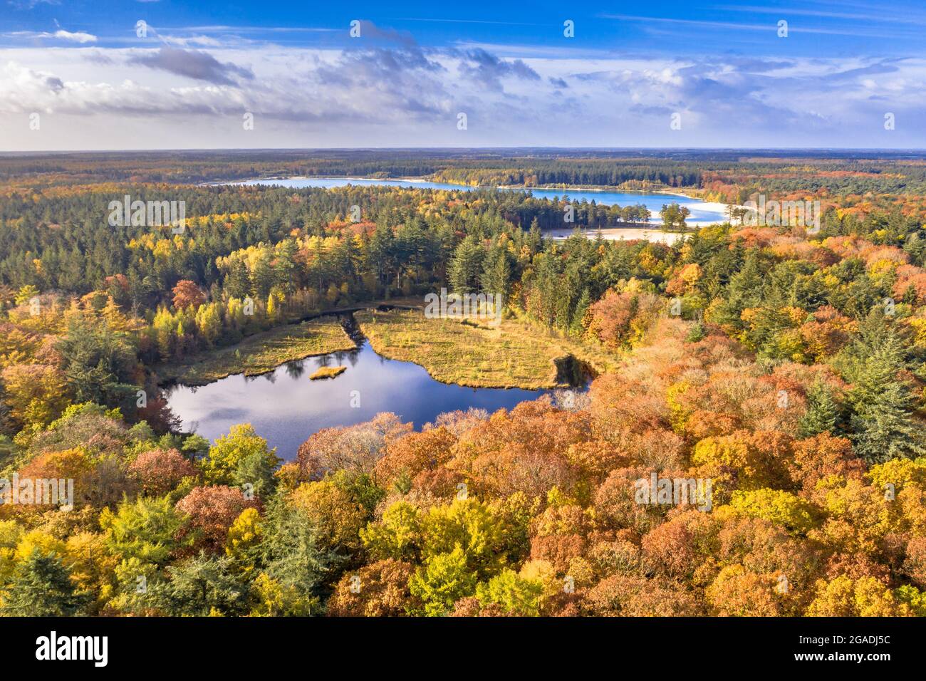 Luftaufnahme von Seen im Herbstwald in Gasselte, Drenthe. Landschaftsbild in der Natur europas. Stockfoto