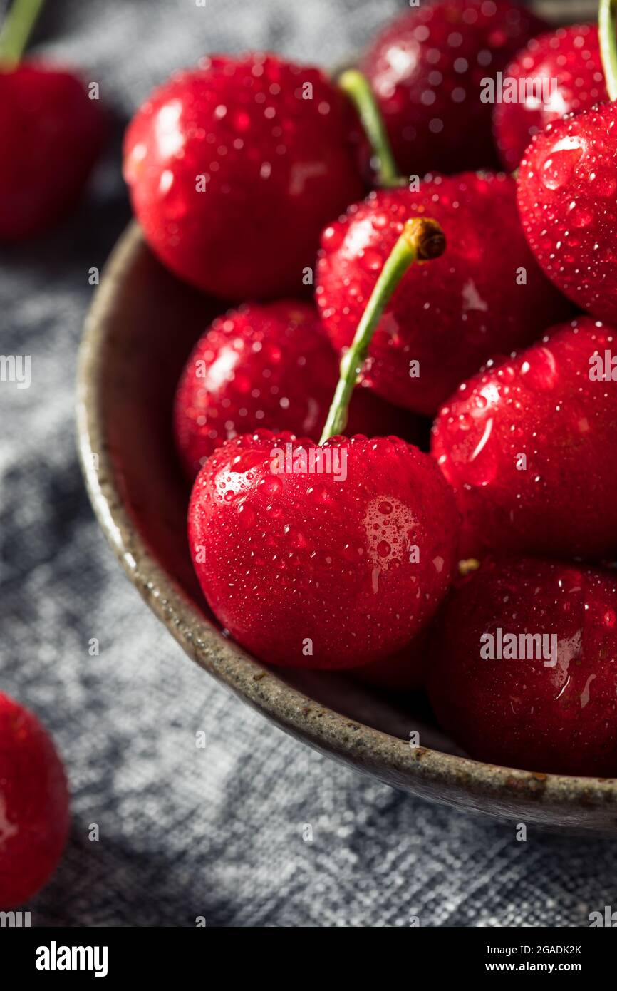 Gesunde Bio-rote Kirschen in einer Schüssel zu essen Stockfoto