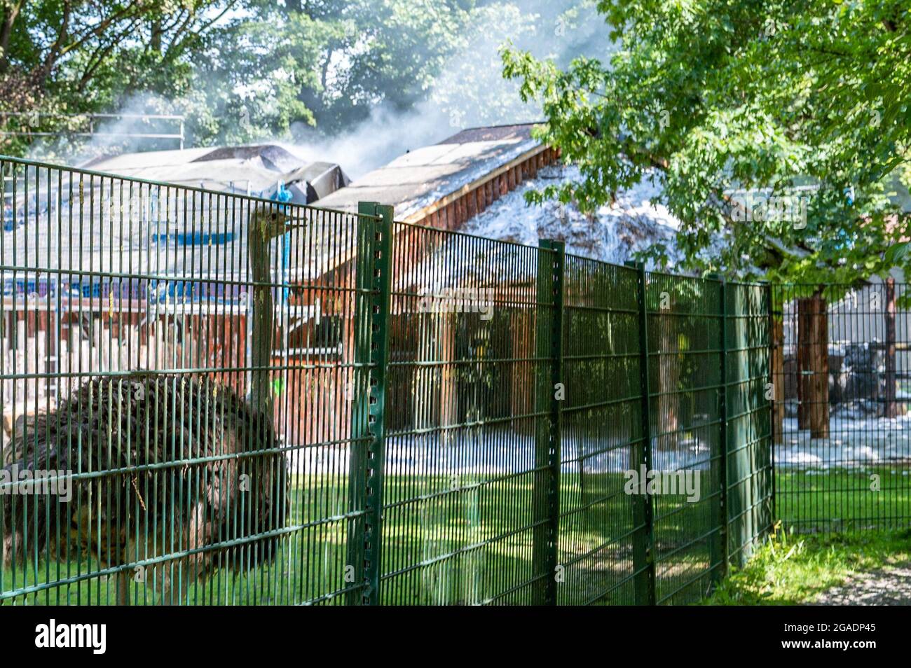 Straubing, Deutschland. Juli 2021. Feuerwehrleute löschen das Feuer in einem Gebäude auf dem Gelände des Zoos. Tiere und Menschen seien nicht in Gefahr, sagte die Feuerwehr. Es gab jedoch eine starke Entwicklung von Rauch. Quelle: Armin Weigel/dpa/Alamy Live News Stockfoto