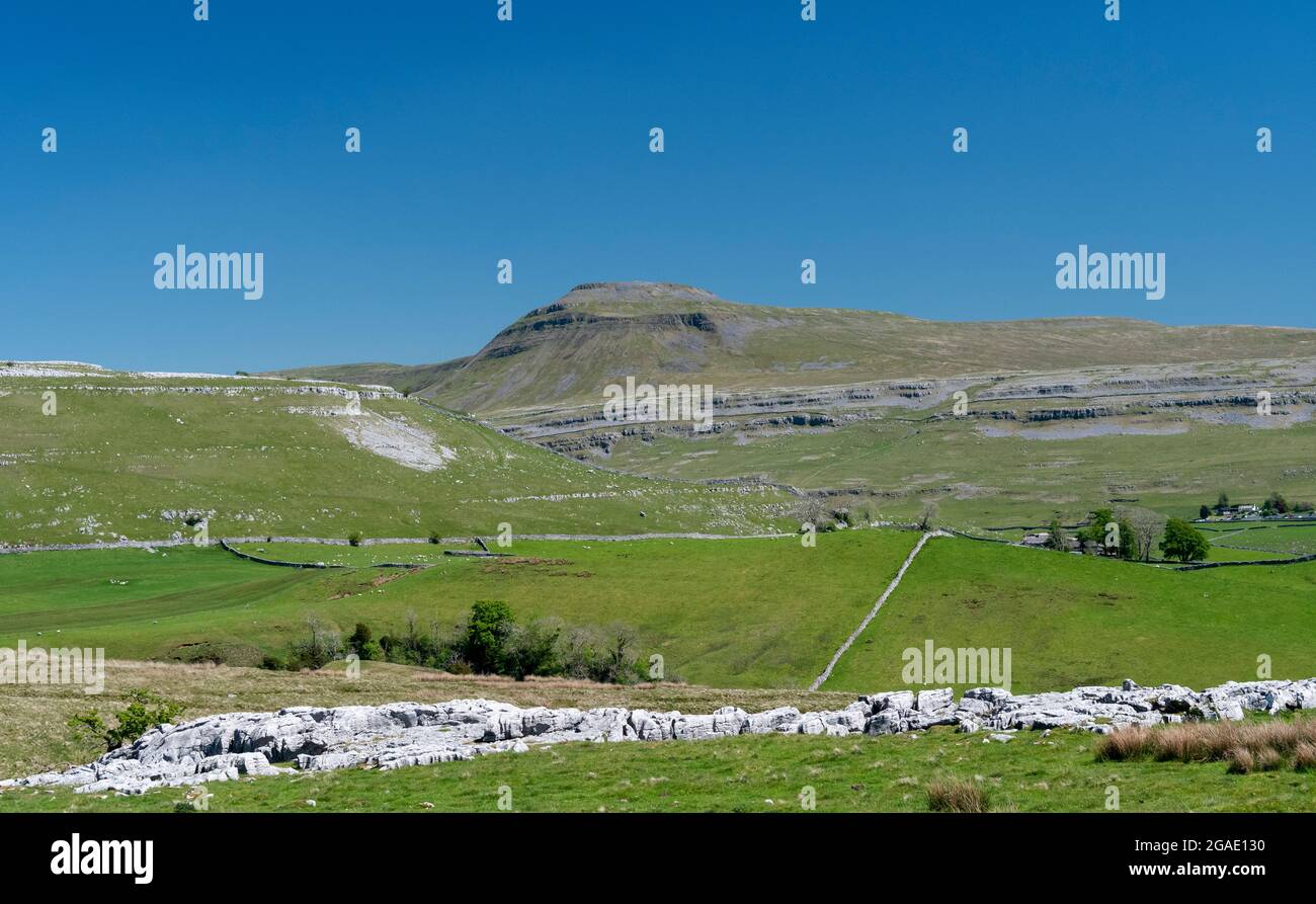 Ingleboorough aus dem Boden von Kingsdale, zeigt die Kalksteingeologie des Gebiets, North Yorkshire, Großbritannien. Stockfoto