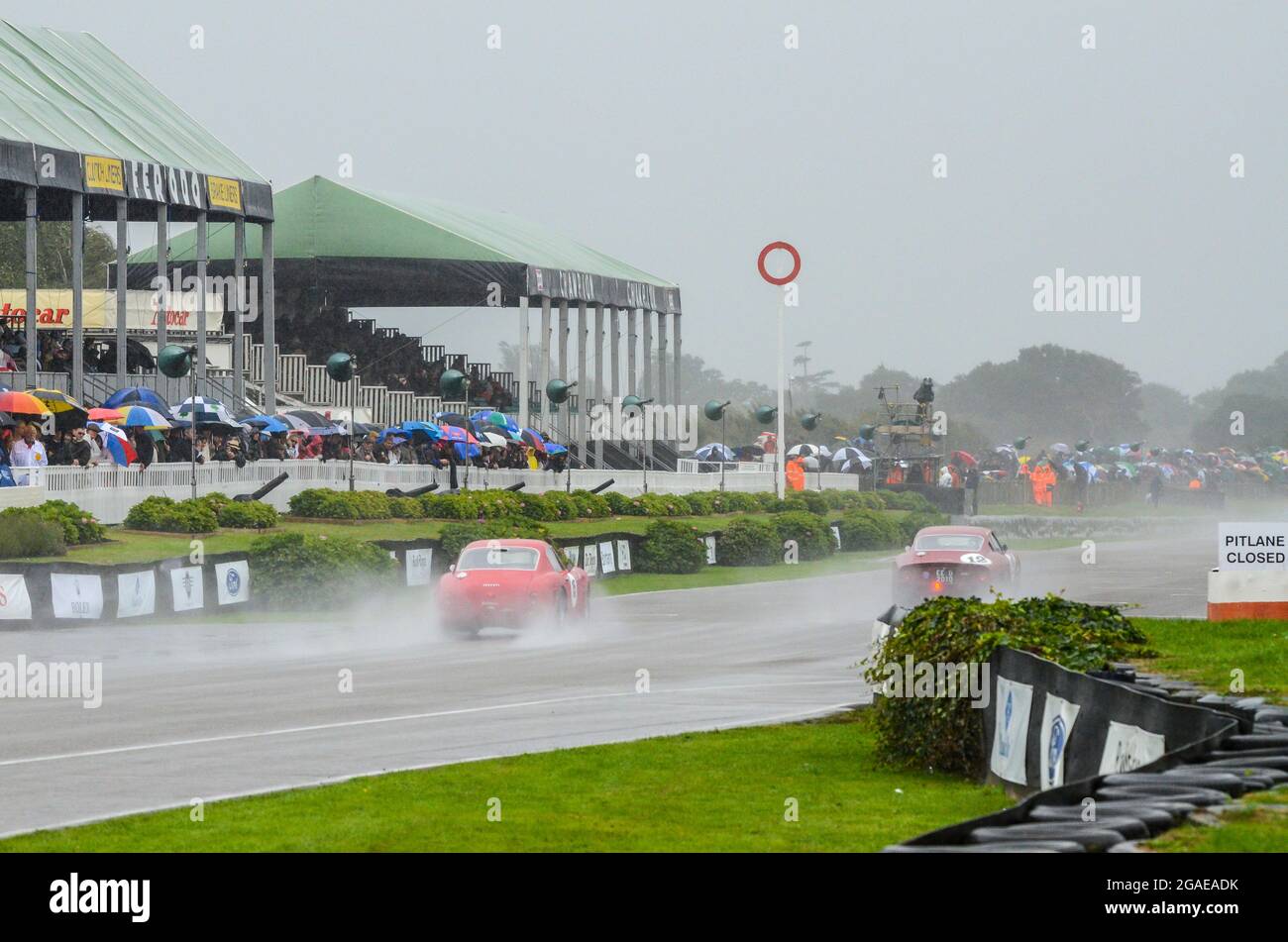 Klassische Rennwagen, die beim Langstreckenrennen RAC Tourist Trophy Competation beim Goodwood Revival 2013 unter nassen Bedingungen antreten. Regen. Zuschauer Stockfoto