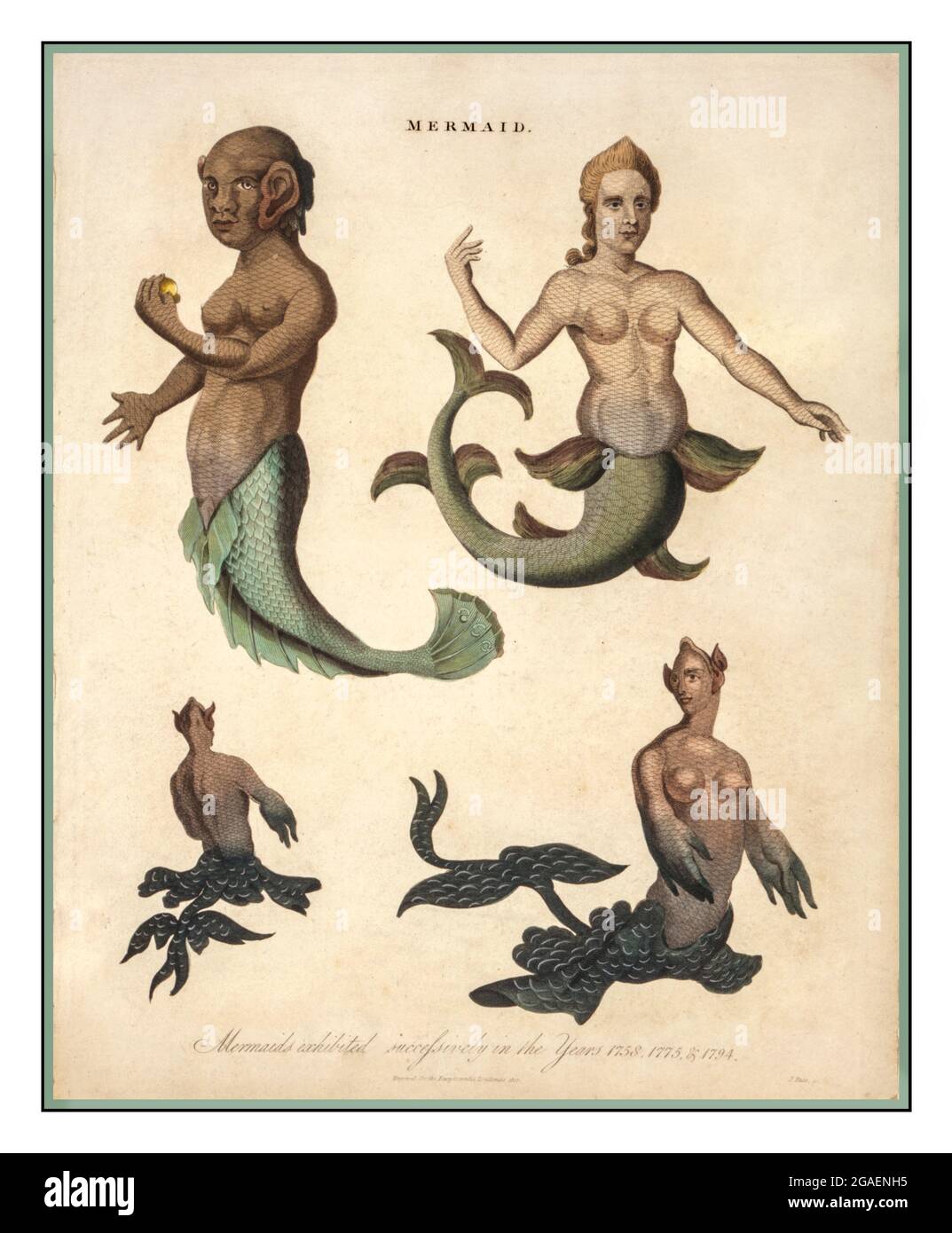 Vintage Lithograph Mermaid--Meerjungfrauen in den Jahren 1758, 1775 und 1794 sukzessive ausgestellt Schöpfer: Pass, J., Graveur graviert für die Encyclopaedia Londiensis, 1817. Stockfoto