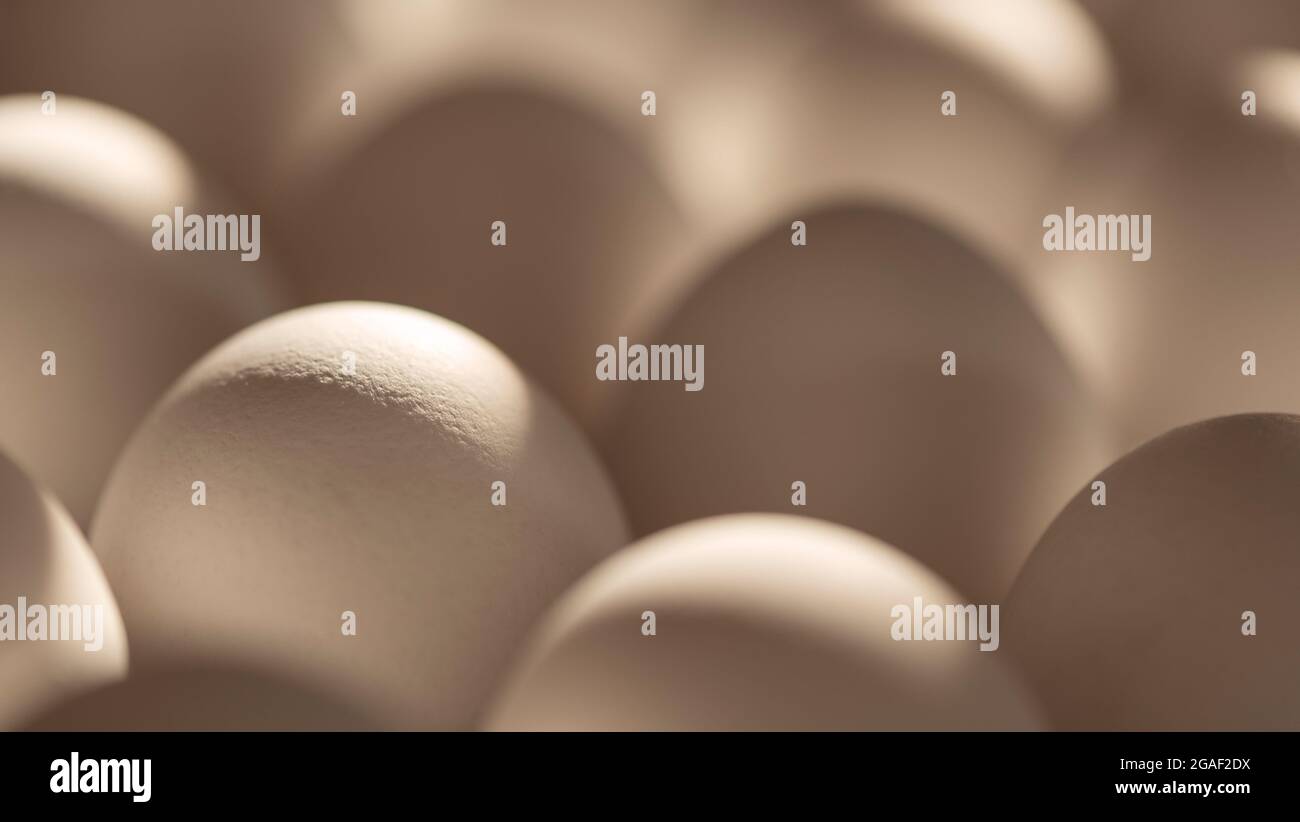 Bio-Eier mit sanftem Morgenlicht, Naturkost, helle Pastellfarben, faire Zucht, Stockfoto