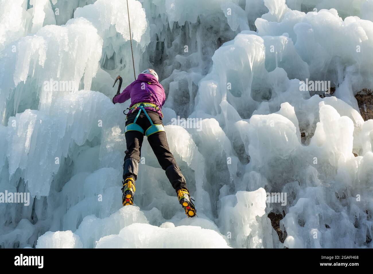 Eiskletterinnen mit Eiskletterausrüstung, Äxten, Helm, Geschirr und Steigeisen, die an einem gefrorenen Wasserfall hängen, Rückansicht Stockfoto