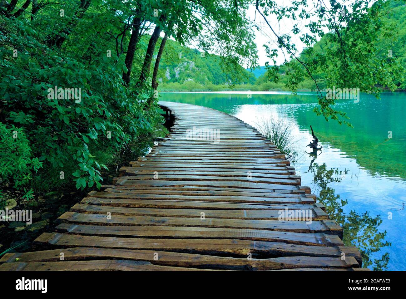 Hölzerne Fußgängerbrücke im Nationalpark Plitvicer Seen, Kroatien Stockfoto