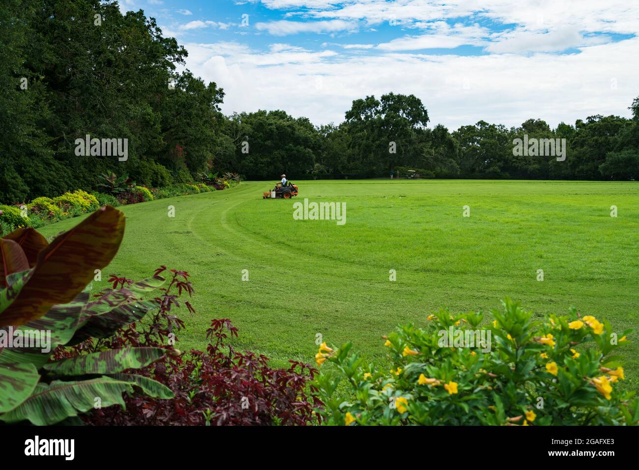 Blick auf den Großen Rasen in den Bellingrath Gardens Stockfoto