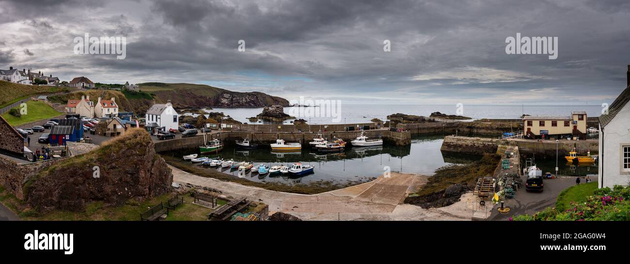 St. Abbs an der schottischen Südostküste, Scottish Borders, Schottland, Vereinigtes Königreich Stockfoto
