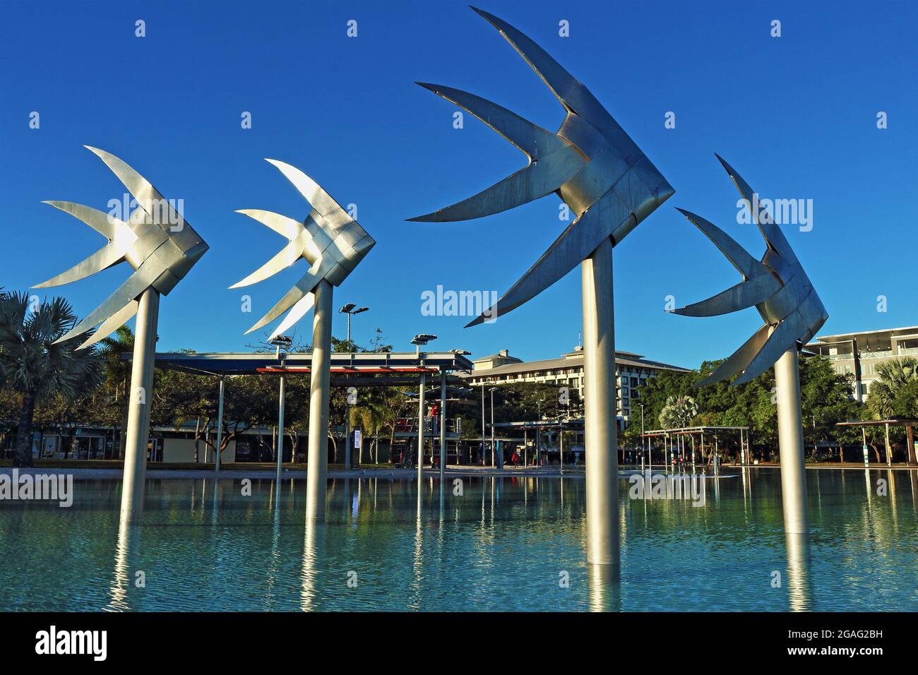 Die Stahlfische der schwimmenden Lagune am frühen Morgen an einem Tag mit blauem Himmel an der Espalanade in Cairns, Queensland, Australien Stockfoto