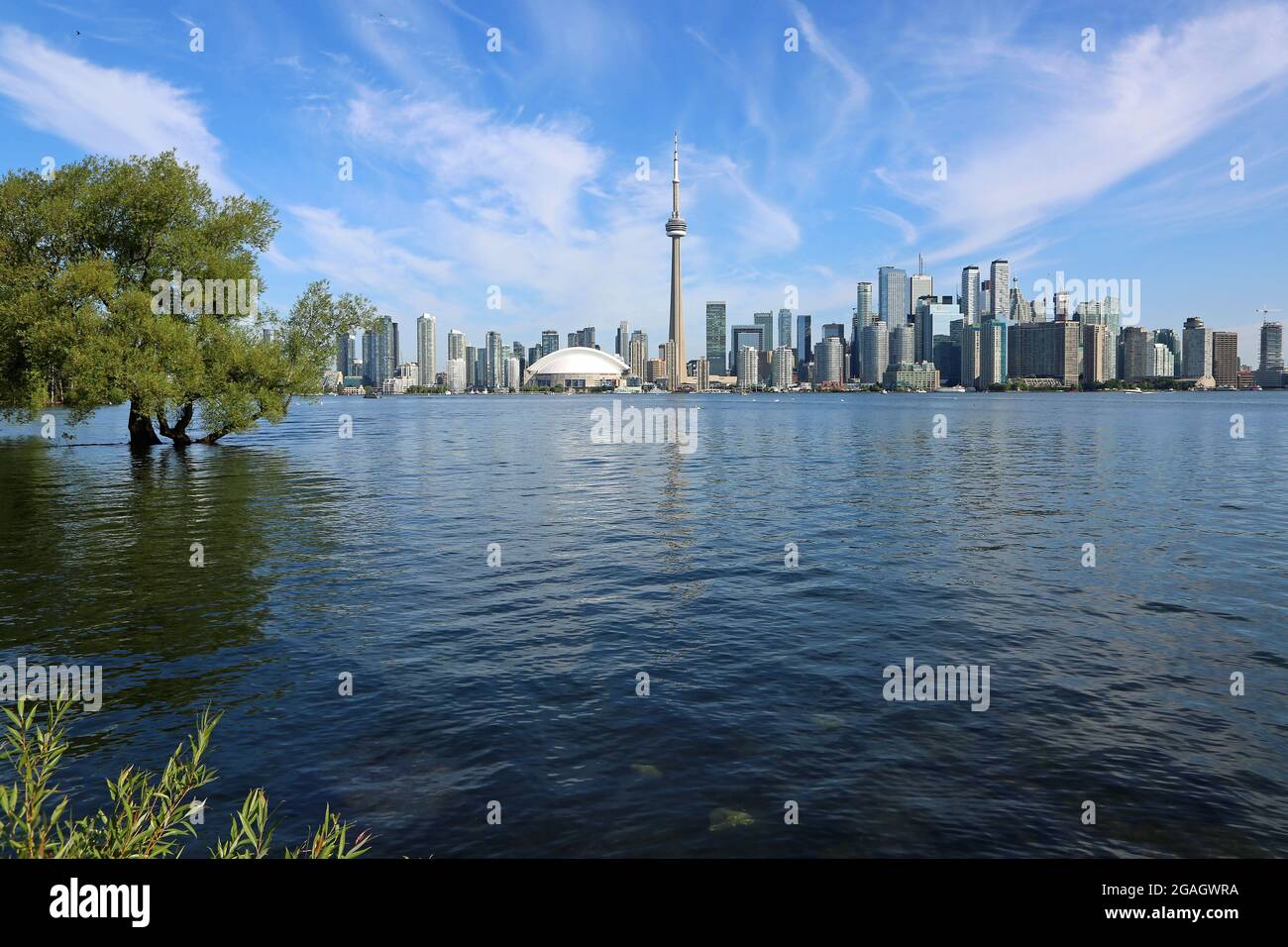 Blick auf Toronto von Toronto Island, Kanada Stockfoto