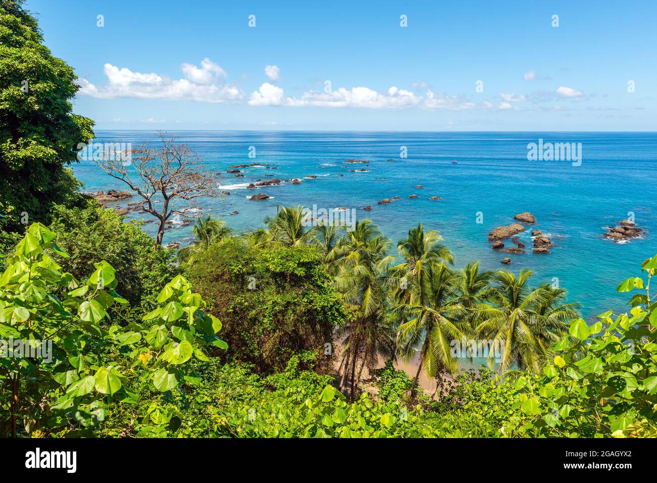 Cano Insel (Insel Caño) biologische Reservelandschaft über tropischen Palmen und Pazifik, Corcovado Nationalpark, Osa Halbinsel, Costa Rica. Stockfoto