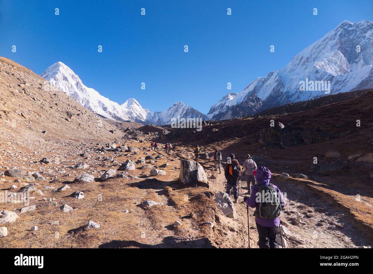 Wanderer nähern sich dem südlichen Everest-Basislager mit Blick auf schneebedeckte Pumori, Lingtren, Khumbutse, Everest-Westschulter und Nuptse-Seite Stockfoto