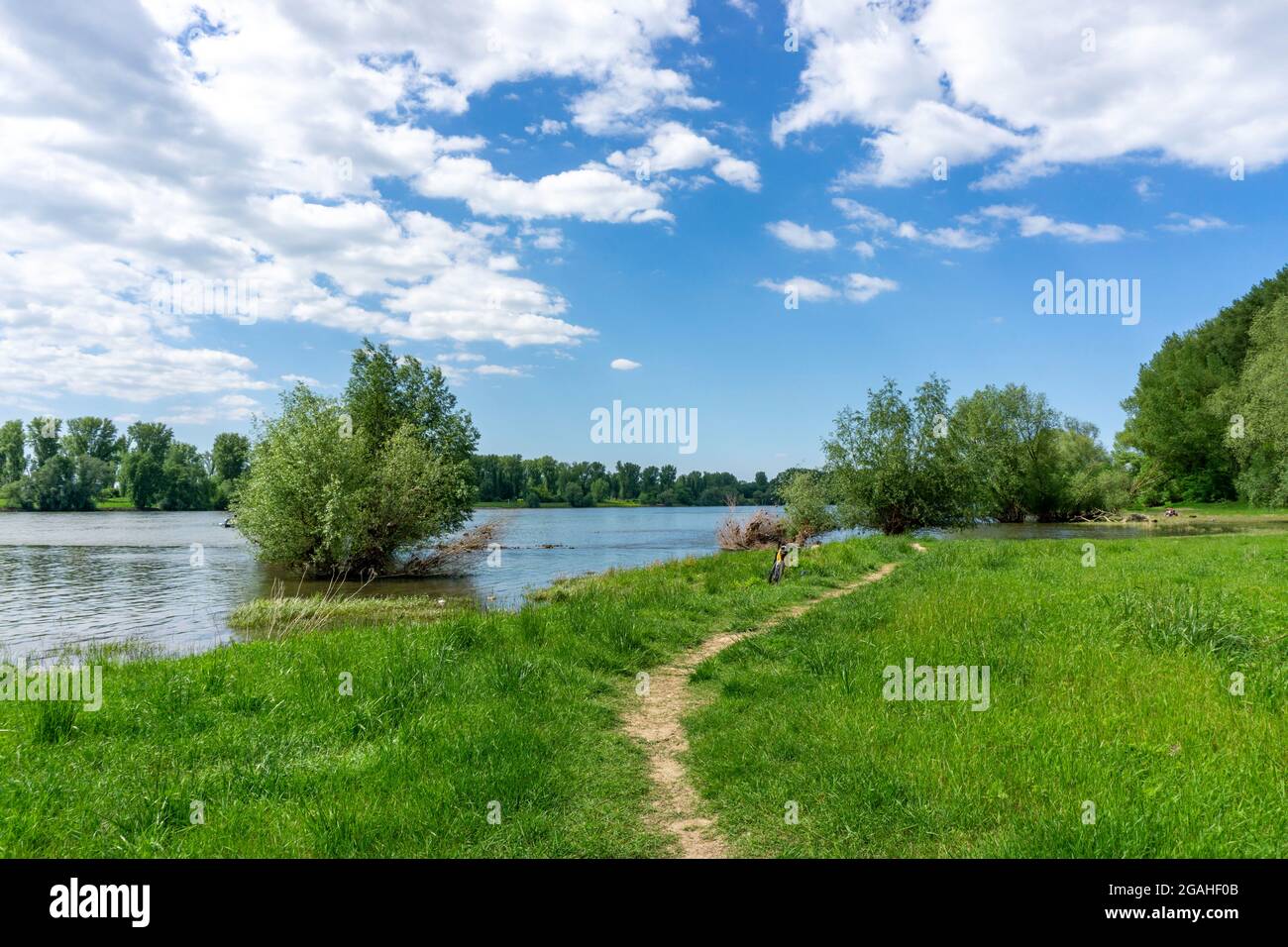 Urdenbachen Kämpe Naturschutzgebiet, Niederrheinische Kulturlandschaft mit Weiden, Obstbäumen und feuchten Wiesen, zwischen dem Rhein und einem Arm der Stockfoto