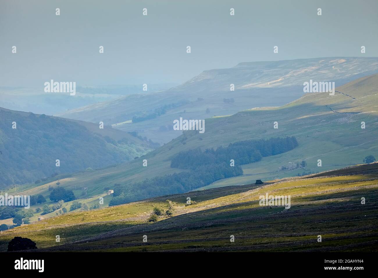 Swaledale-Ansicht von den Schmetterlingen .100721 Stockfoto