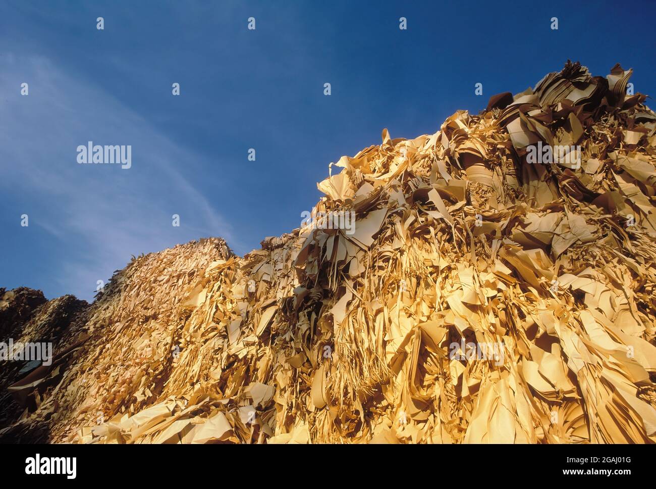 Stapel von Post-Consumer-manila farbigen Abfallpapieren im Freien in strahlendem Sonnenschein bereit für die Herstellung von recycelten Papierprodukten. Stockfoto