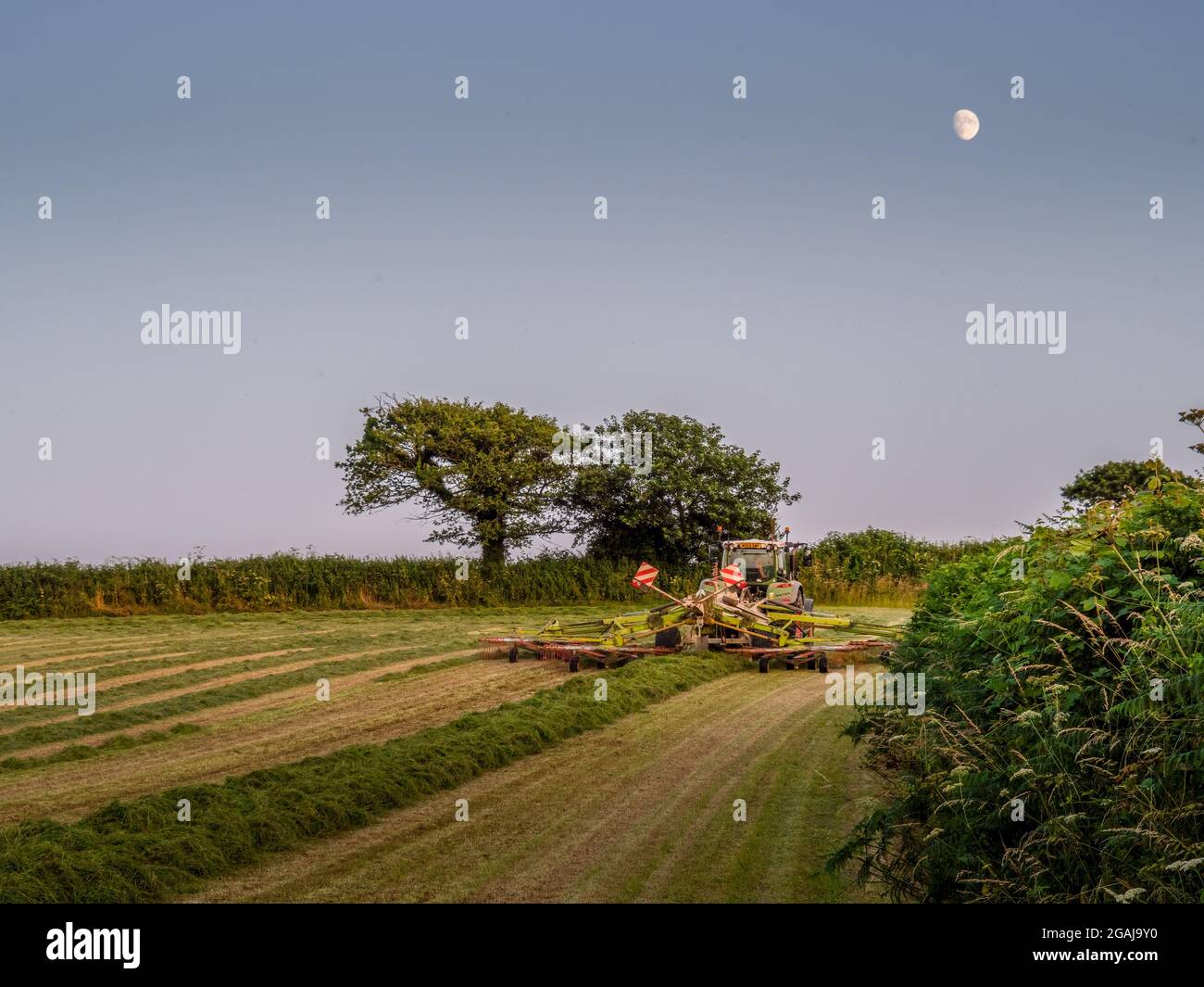 DEVON, ENGLAND - 20 2021. JULI: Ein Bauer, der Heu macht, während die Sonne scheint, arbeitet bis in den Abend hinein. Stockfoto