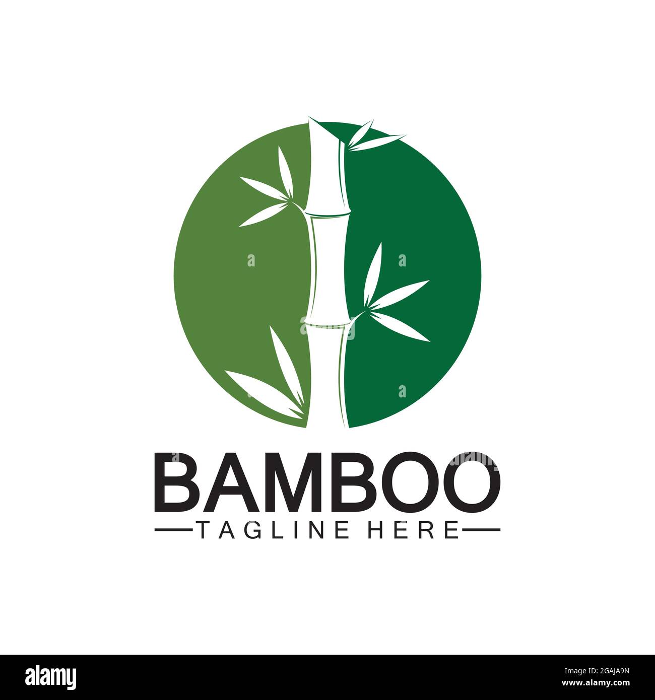 Bambus Logo Vorlage Vektor icon Abbildung design Stock Vektor