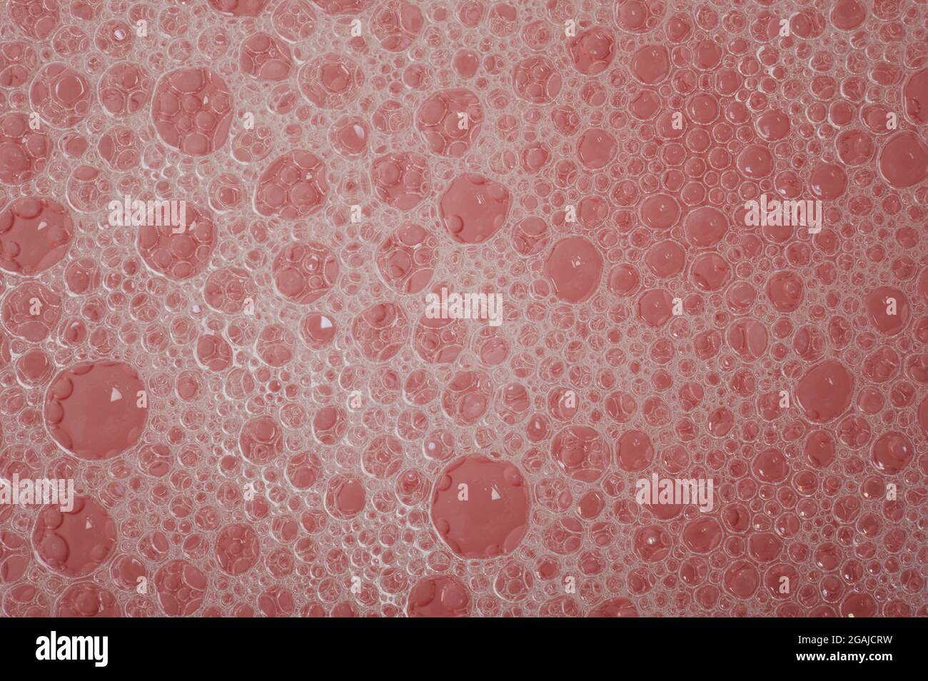 Soap Bubble Cells Hintergrund Makro Nahaufnahme Stockfoto