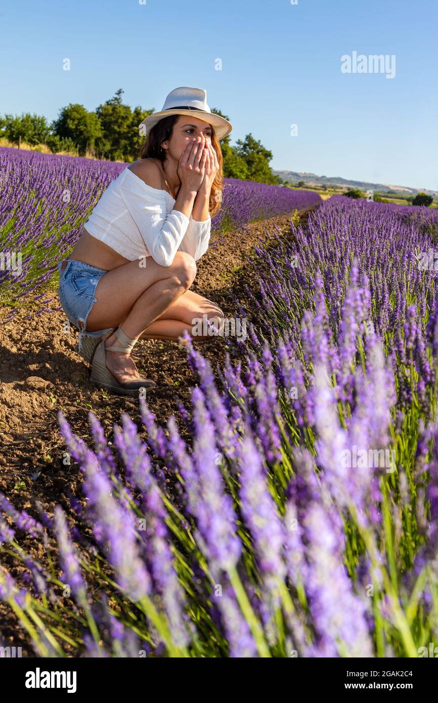 Eine wunderschöne Frau kauerte sich in einem blühenden Lavendelfeld. Sie bedeckt ihren Mund mit beiden Händen überrascht von etwas. Sommerglück-Konzept. Stockfoto