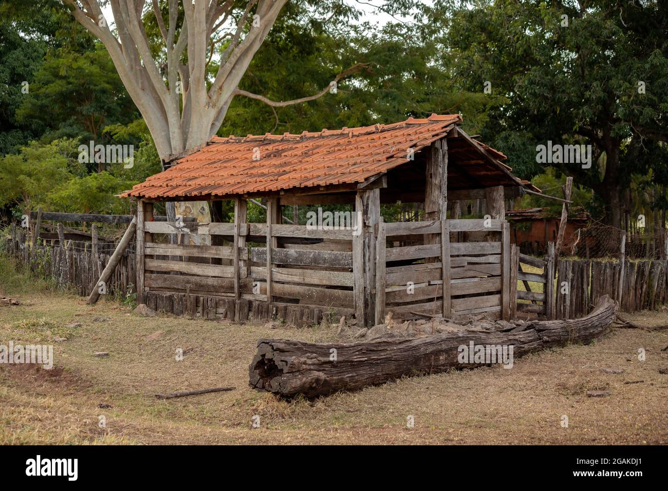 Kleiner Holzpigsty auf einem brasilianischen Bauernhof Stockfoto