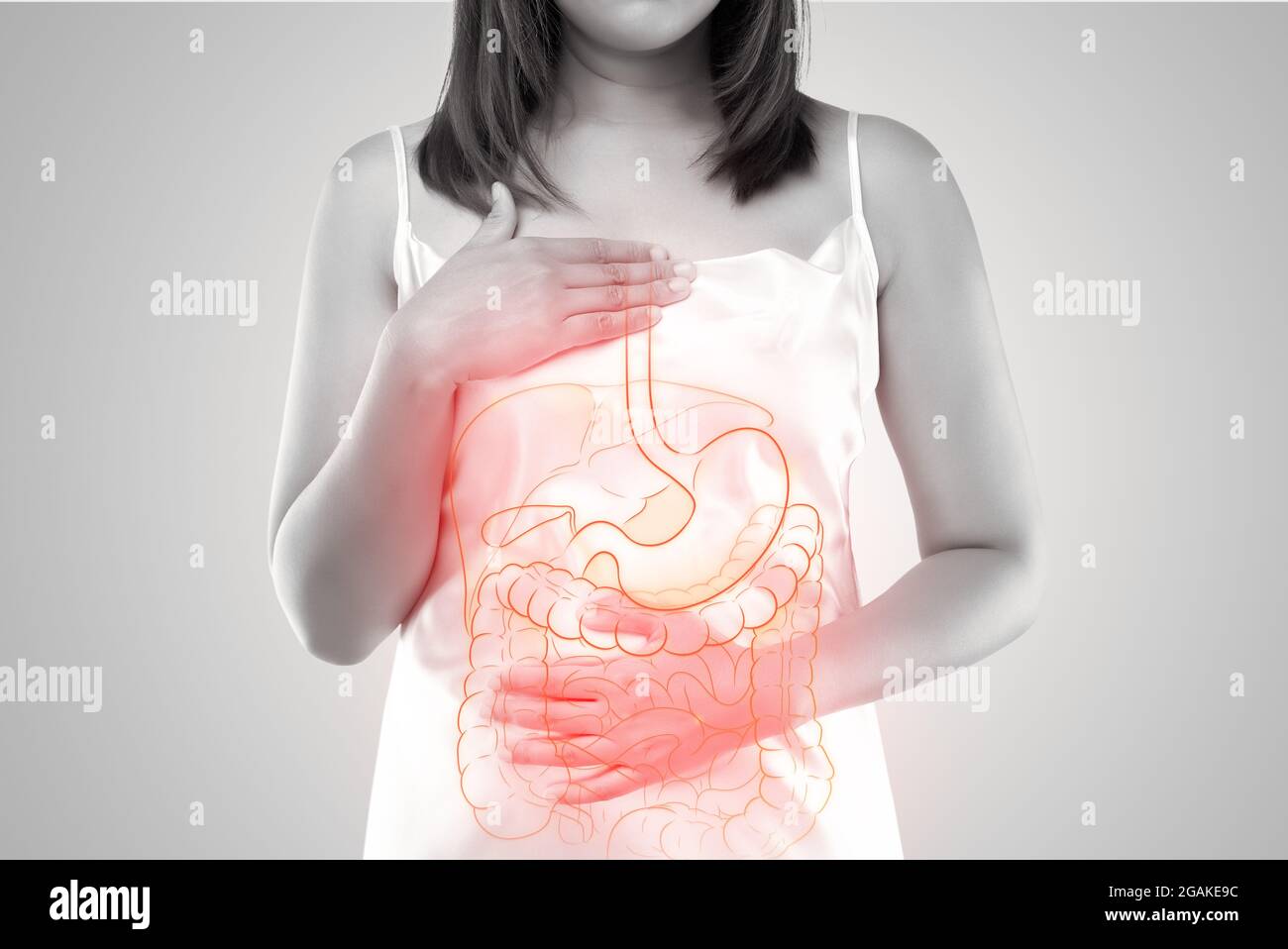 Die Darstellung der inneren Organe ist auf dem Körper der Frau vor grauem Hintergrund zu sehen. Eine Frau, die den Magen berührt, leidet unter einer Enteritis. Stockfoto