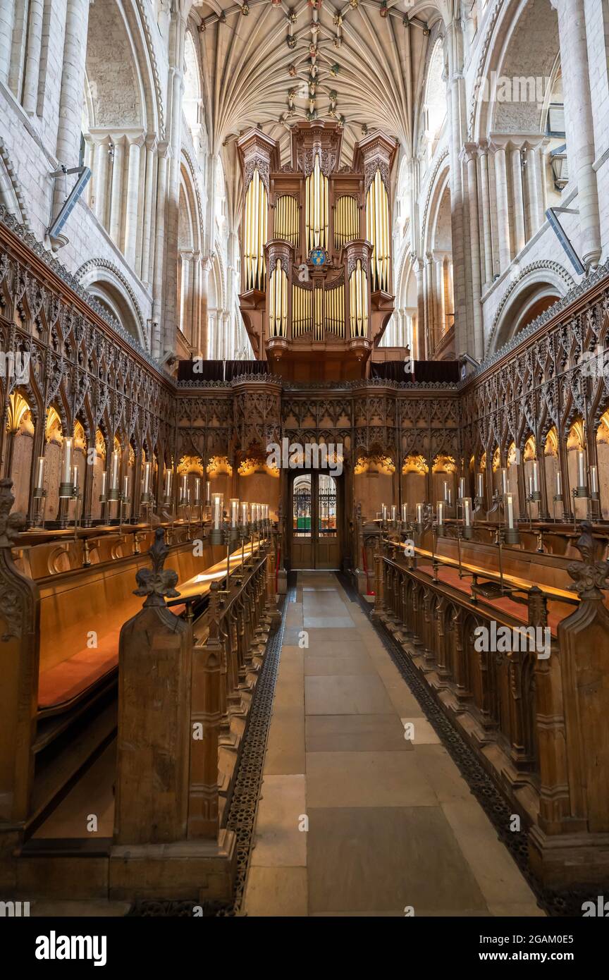 Wunderschöne Innenausstattung der mittelalterlichen Kirche der Kathedrale von Norwich Stockfoto