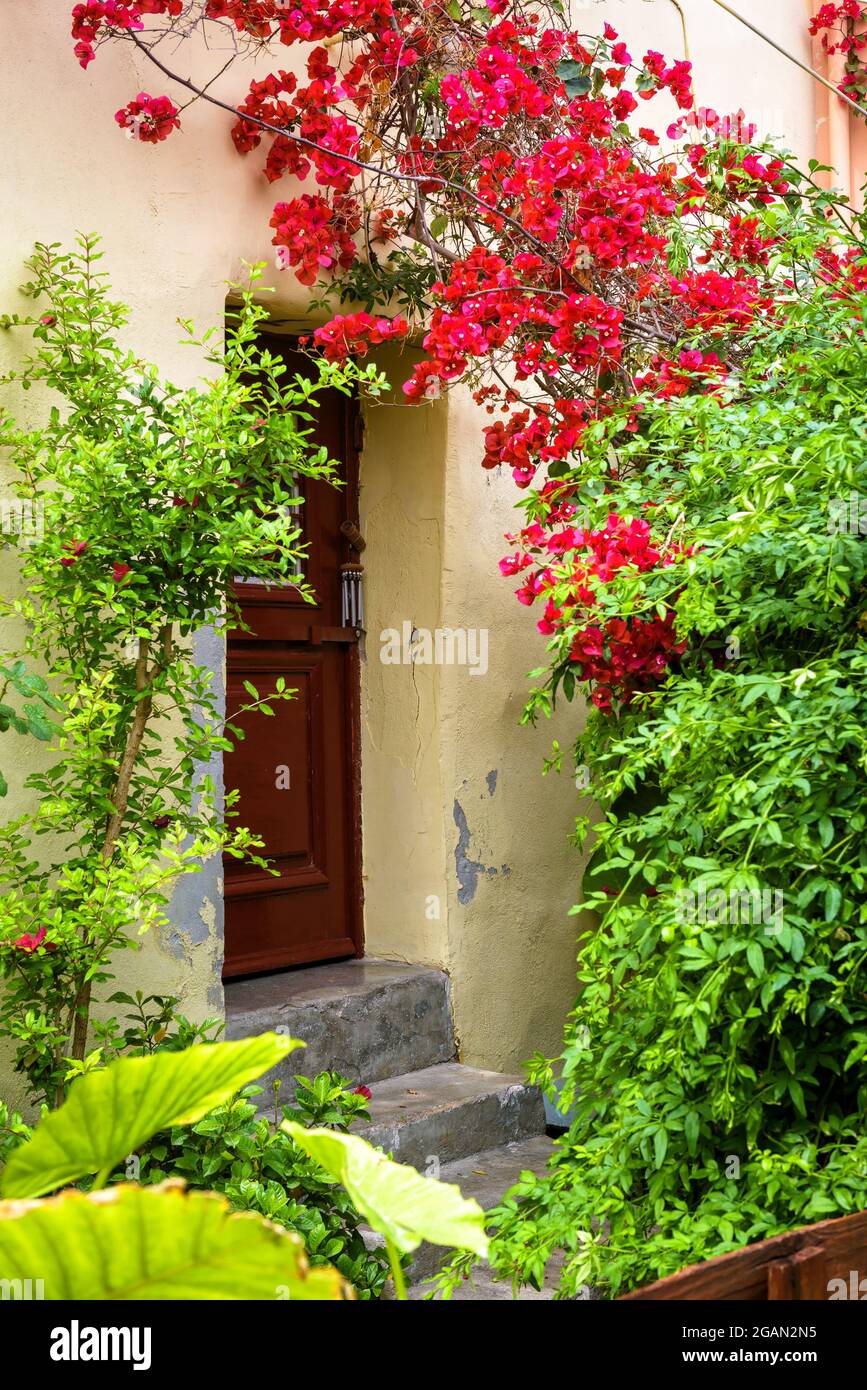 Landschaftsgestaltung des Wohnhauses, Eingangstür von Efeu und roten Blumen überwuchert. Vertikaler Blick auf die Außenwand und die grünen Pflanzen im Sommer Stockfoto