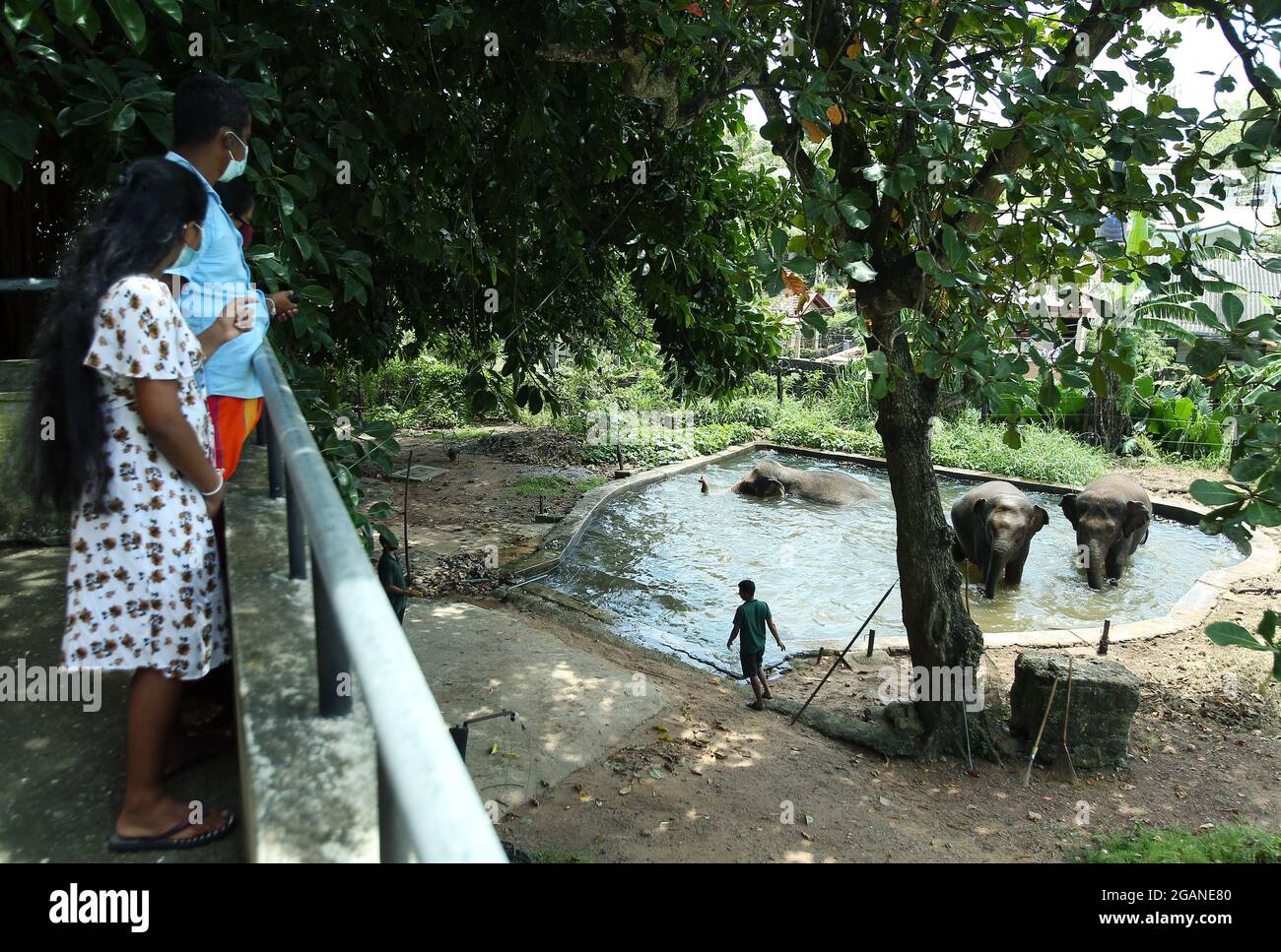 Colombo, Sri Lanka. Juli 2021. Am 31. Juli 2021 besuchen Menschen den wiedereröffneten Dehiwala Zoo in Colombo, Sri Lanka. Der Dehiwala Zoo in Colombo wurde vor kurzem wieder für die Öffentlichkeit geöffnet, nachdem er geschlossen wurde, um die Ausbreitung des Coronavirus Anfang Mai zu verhindern. Quelle: Ajith Perera/Xinhua/Alamy Live News Stockfoto