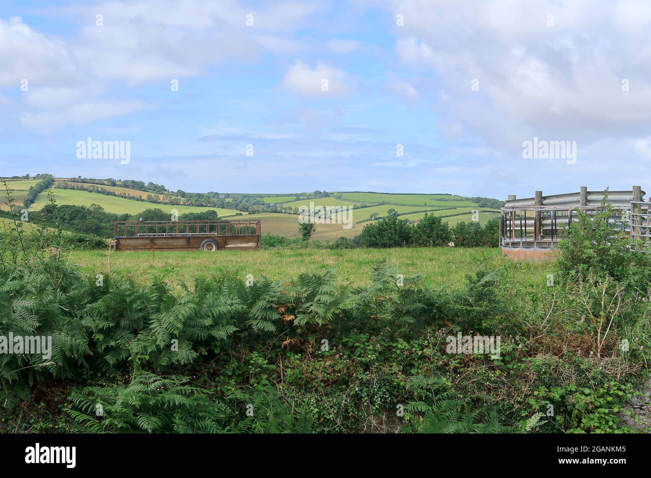 Die wunderschöne ländliche Landschaft um Slapton in South Devon Stockfoto