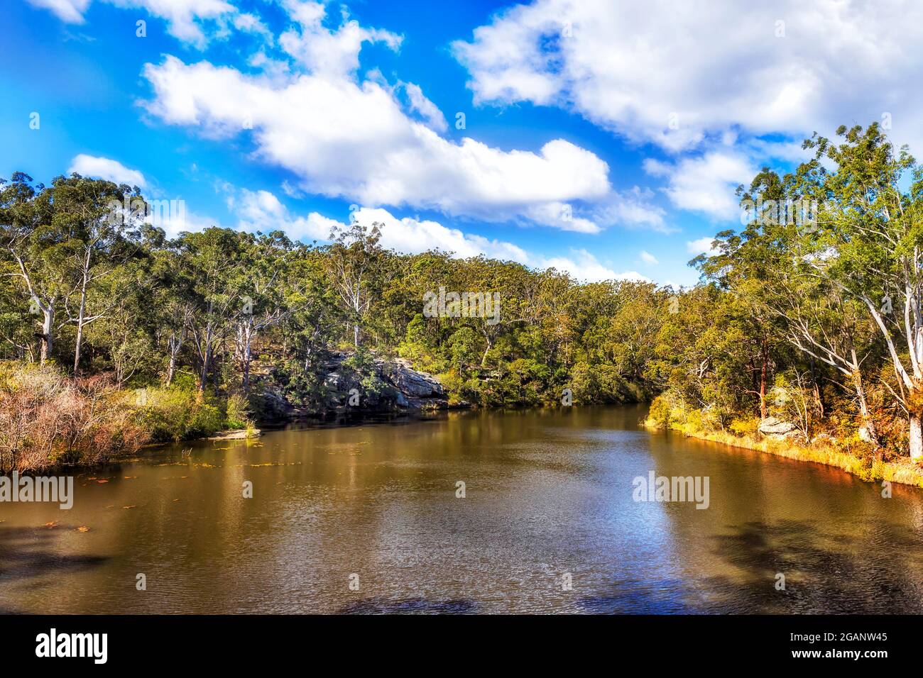 Landschaftlich reizvoller Blick auf die Uferwälder des Lake Parramatta im Westen von Sydney, Australien - sonniger, heller Tag. Stockfoto