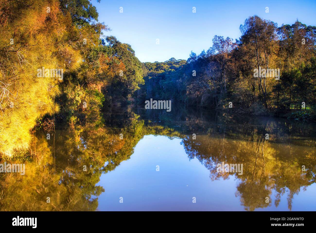 Das ruhige Wasser von Lane bedeckt den Fluss im Nationalpark von Sydney City, Australien - malerische Reflexe von Gummibäumen. Stockfoto