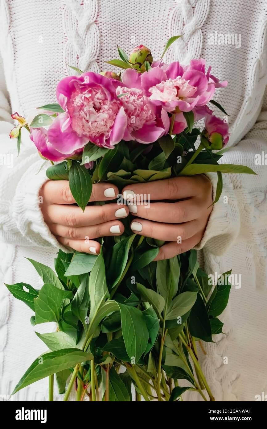 Kurze junge Frau in weißem Strickpullover mit einem Bouquet aus frischen Blumen rosa Pfingstrosen. Stockfoto