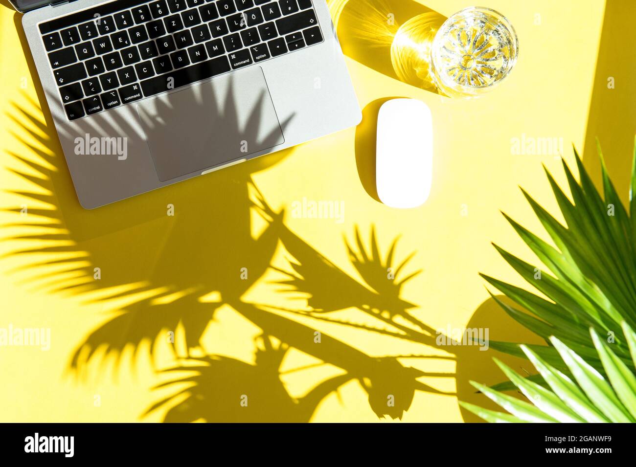 Trendy Sommer Büro Arbeitsplatz flach legen. Laptop mit Sonnenschutz auf gelbem Hintergrund Stockfoto