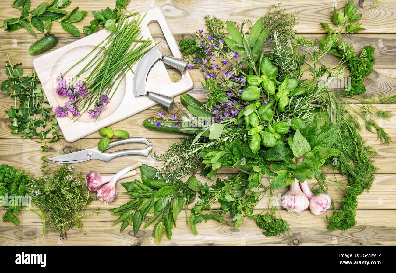 Hintergrund der Speisen. Frische Kräuter und Gemüse. Basilikum, Petersilie, Minze, Thymian, Schnittlauch, Knoblauch Stockfoto