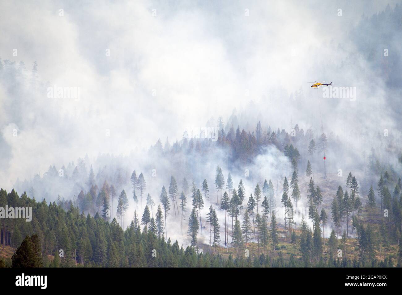 Helikopter kämpft gegen das Wildfeuer von South Yaak in den Purcell Mountains im Nordwesten von Montana. (Foto von Randy Beacham) Stockfoto