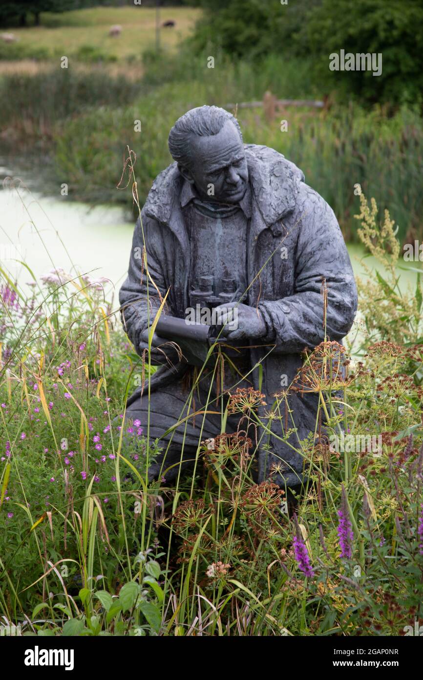 Statue von Sir Peter Scott, Gründer des London Wetland Centre, von Nicola Godden, in Barnes, Südwesten Londons, Großbritannien Stockfoto