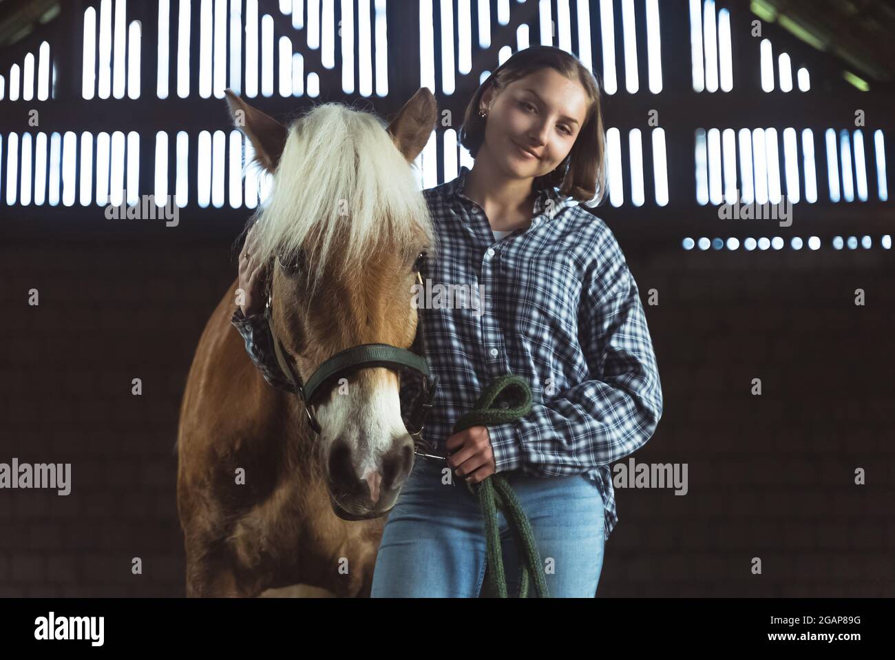 Weibliche Pferdebesitzerin, die mit ihrem hellbraunen Pferd mit einer blonden Mähne im Pferdestall steht. Mädchen hält Bleiseil posiert für die Kamera. Reiten zur freien Verfügung. Stockfoto