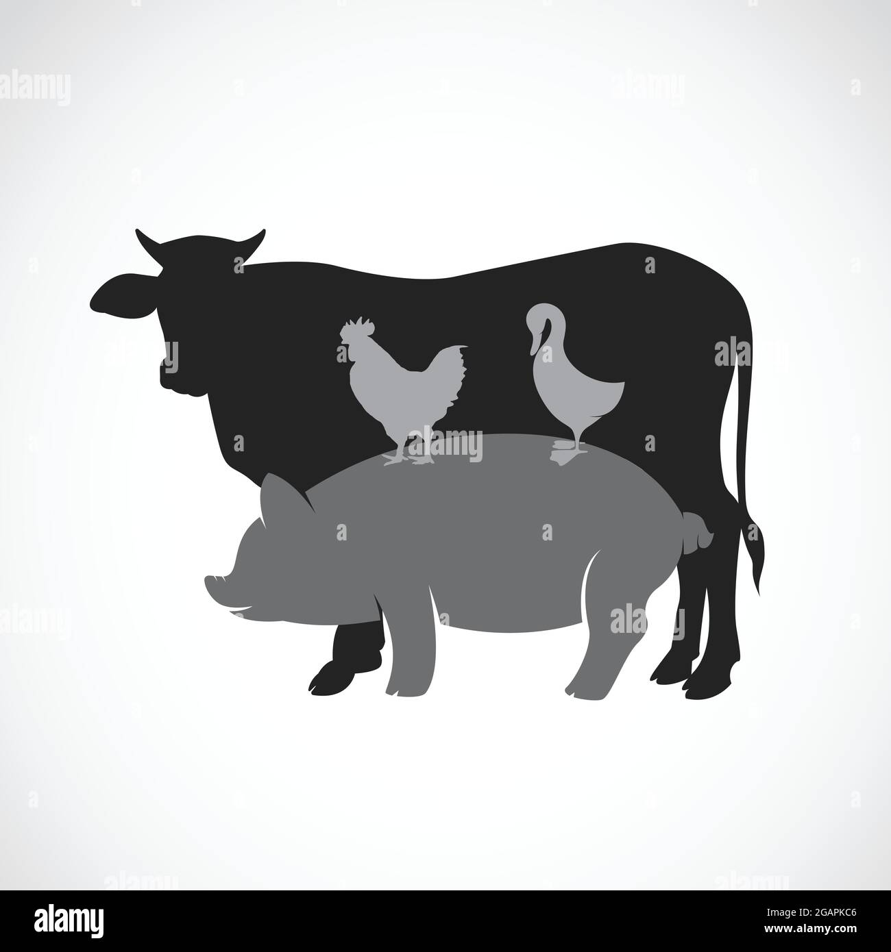 Vector Gruppe von Tierfarm Label - Kuh, Schwein, Huhn, Ente. Leicht editierbare Vektorgrafik mit Ebenen. Tiere. Stock Vektor