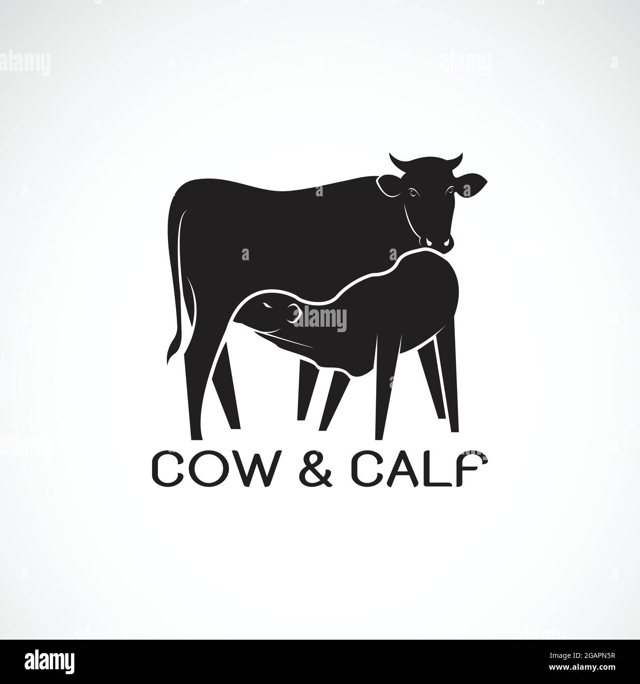 Calf Vector Vectors Stockfotos Und Bilder Kaufen Alamy