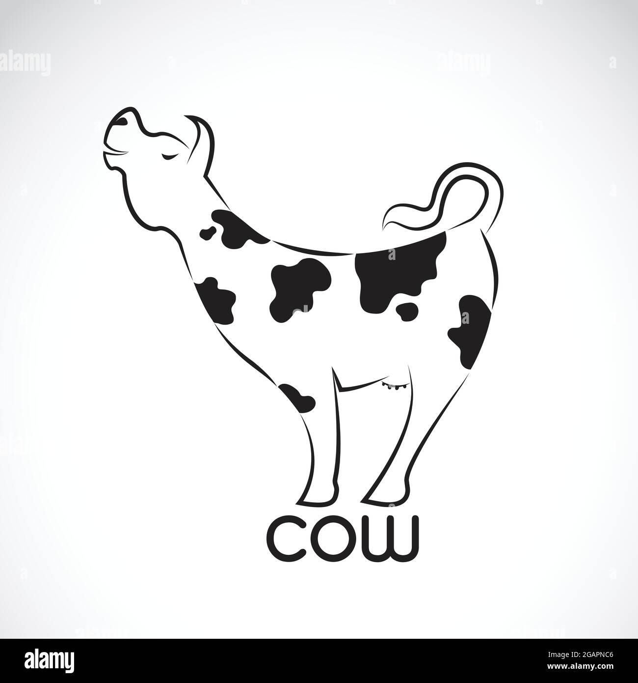 Calf Vector Vectors Stockfotos Und Bilder Kaufen Alamy