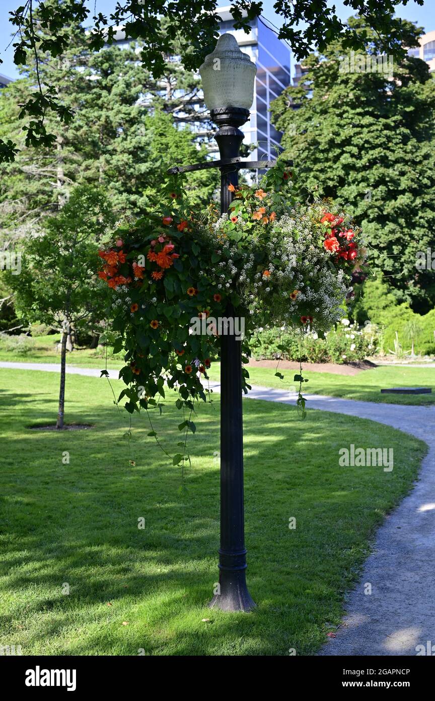 Blumentöpfe mit orangefarbenen Petunia-Blumen, die an einem Lichtmast mit Retro-Laternen hängen, originelles Design Stockfoto