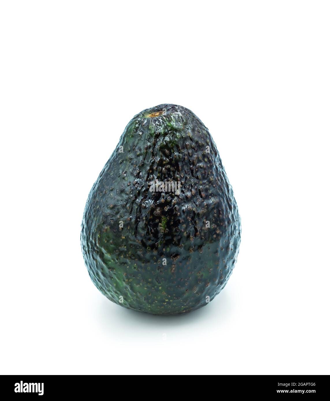 Frisches Gemüse. Avocado isoliert auf weißem Hintergrund. Eine grüne birnenförmige Frucht. Stockfoto