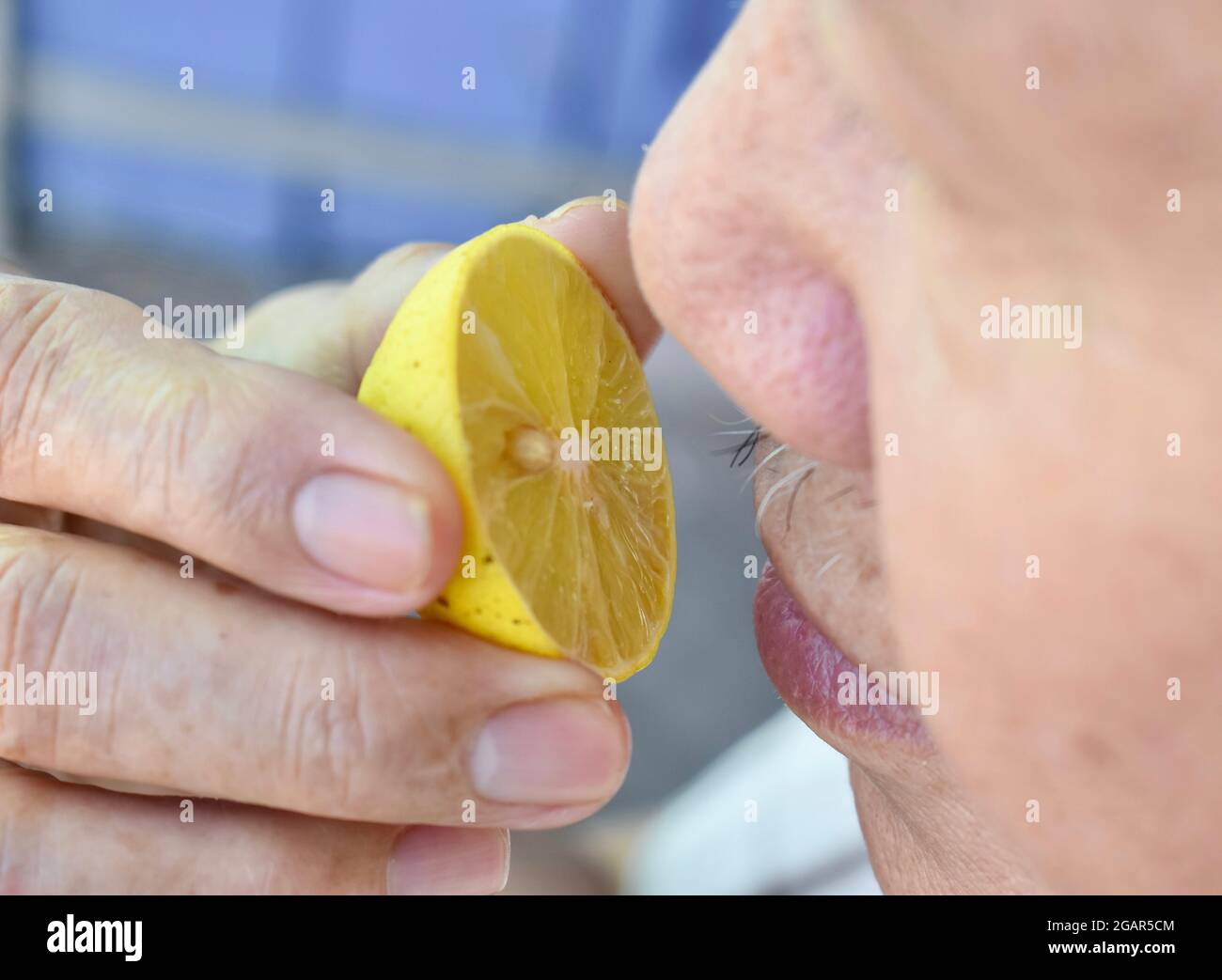 Südostasiatischer, chinesischer und myanmarischer alter Mann mit kalter Grippe bekommt Geruchverlust, genannt Anosmie. Er riecht nach Zitrone, während er zu Hause bleibt. Nahaufnahme Stockfoto