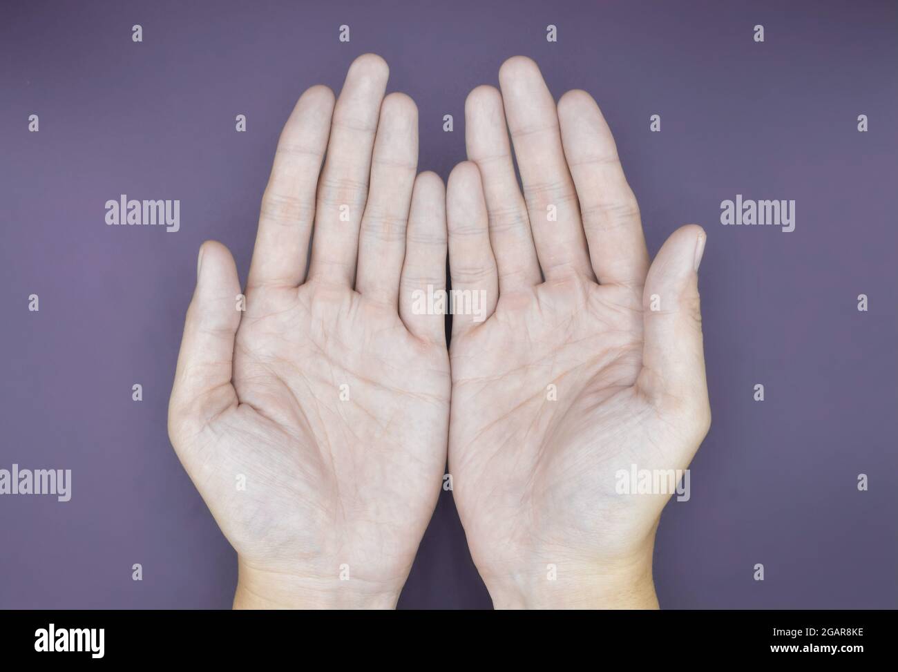 Blasse Palmaroberfläche beider Hände. Anämische Hände eines asiatischen, chinesischen Mannes. Isoliert auf magentafarbenem Hintergrund. Stockfoto