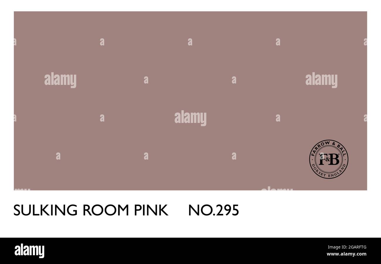 Farrow & Ball schwül Zimmer rosa Nr. 295 Farbkarte Stock Vektor