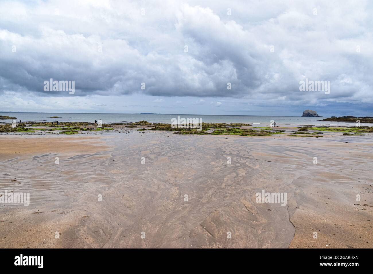 Milsey Bay und Bass Rock, North Berwick, East Lothian, Schottland, Großbritannien Stockfoto