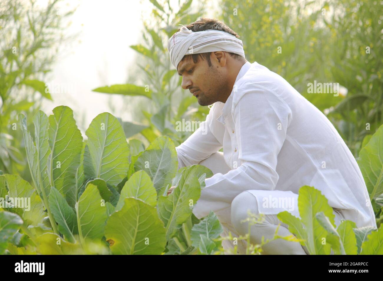 Glücklicher indischer Bauer Stockfoto