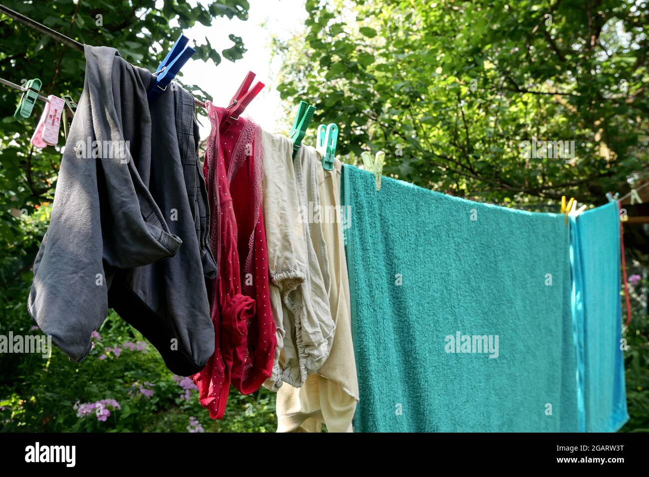 Verschiedene gewaschene Kleidung wird im Garten oder im Garten an einem Seil getrocknet. Trocknen von Leinen mit mehrfarbigen Wäscheklammern. Sommersonntag. Nahaufnahme. Im Freien. Stockfoto