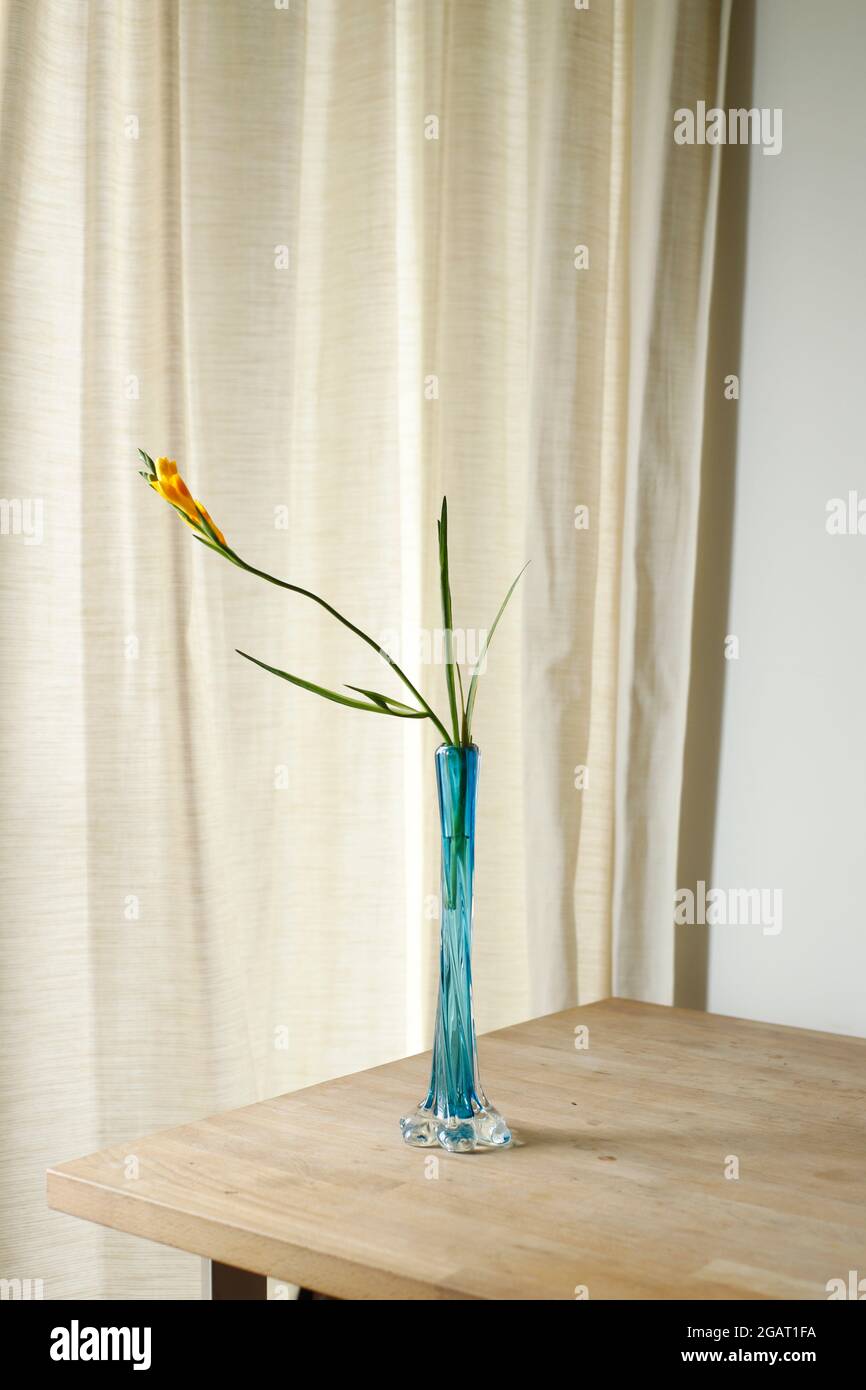 Orangegelbe Freesie-Blüten in einem blauen Vintage-Glas auf Holzschreibtisch und minimalistischer nordischer Instagram-ähnlicher Lifestyle Wellness Frühling Sommer gesund Stockfoto
